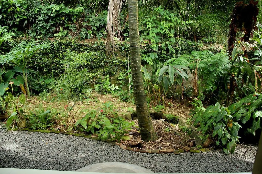 Bougainvilla Homestay Thekkady 0*,  Indien